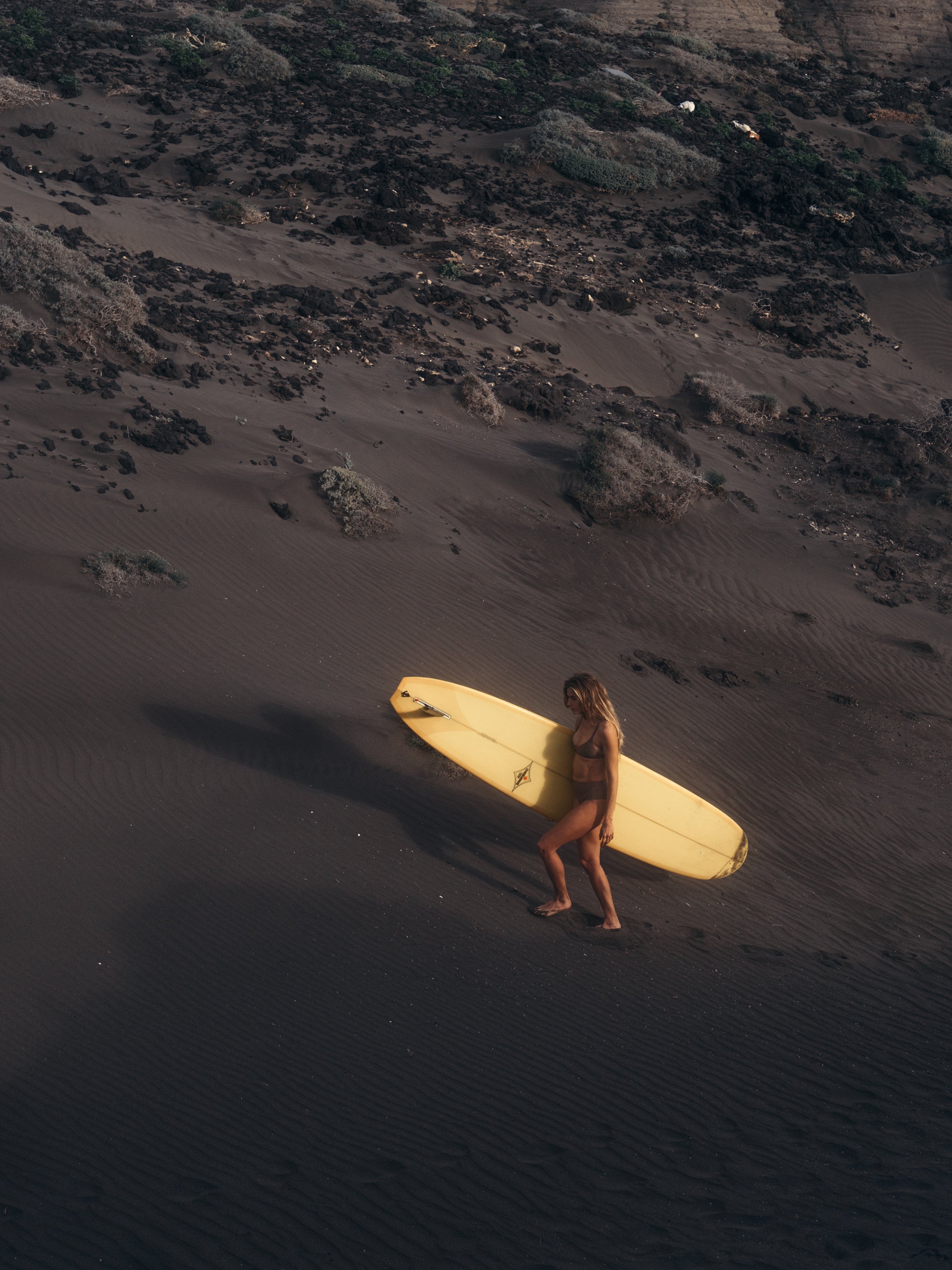 Oy-surf-bikini-signatures-Dace-Fugu-brown-zanella_P2100513.jpg