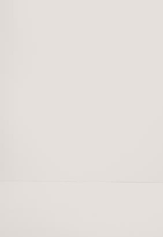 Surf Bikini Oberteil „Esox“ in Dunkelgrün