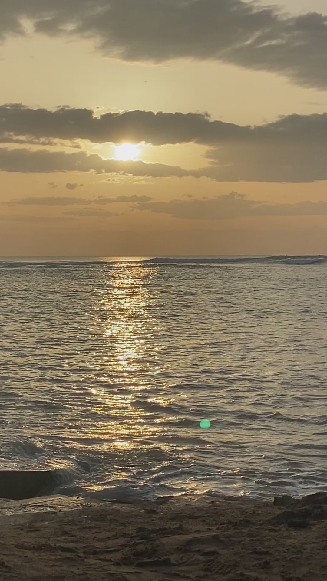 Surf Badeanzug „Orfe“ in Nachtgrün